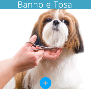 BANHO&TOSA