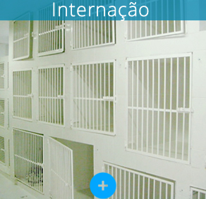 Internao