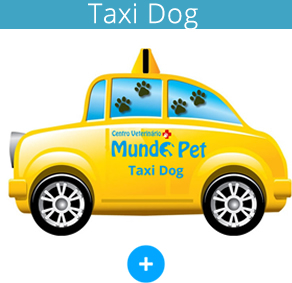 Taxi Dog