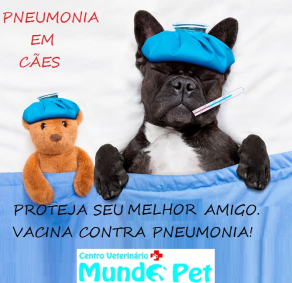 VACINA CONTRA PNEUMONIA 