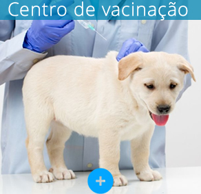 Centro de Vacinao