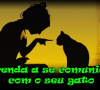 Conecte-se com seu gato, saiba o que ele quer dizer a voc!