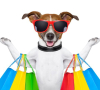 NOSSOS PRODUTOS FEITOS ESPECIALMENTE PARA SEU PET!