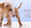 APROVEITE!
