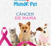 Cncer de Mama  
