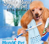saude bucal 